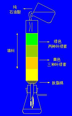 高效液相色谱仪的技术原理及操作指南