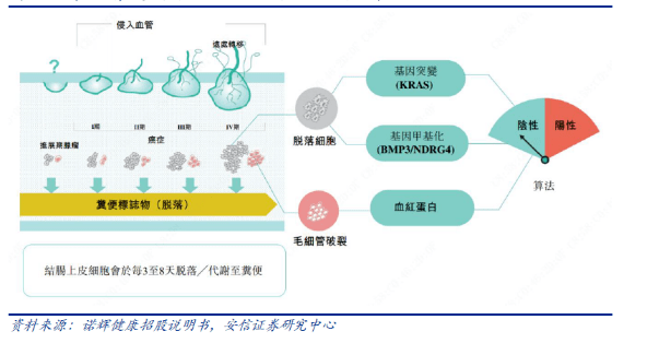 便携式检测仪器的技术创新及市场需求洞察