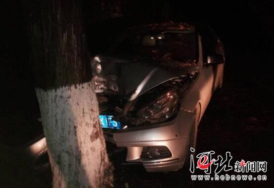 男子骗保撞树身亡事件，悲剧背后的反思与启示