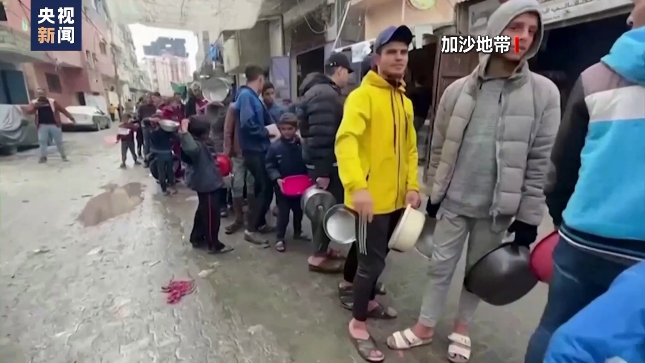 加沙地带粮食危机，挑战与解决方案探索