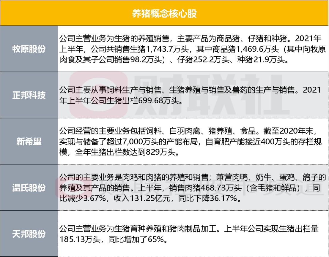 三肖三期必出特肖资料,综合性计划定义评估_VR39.962