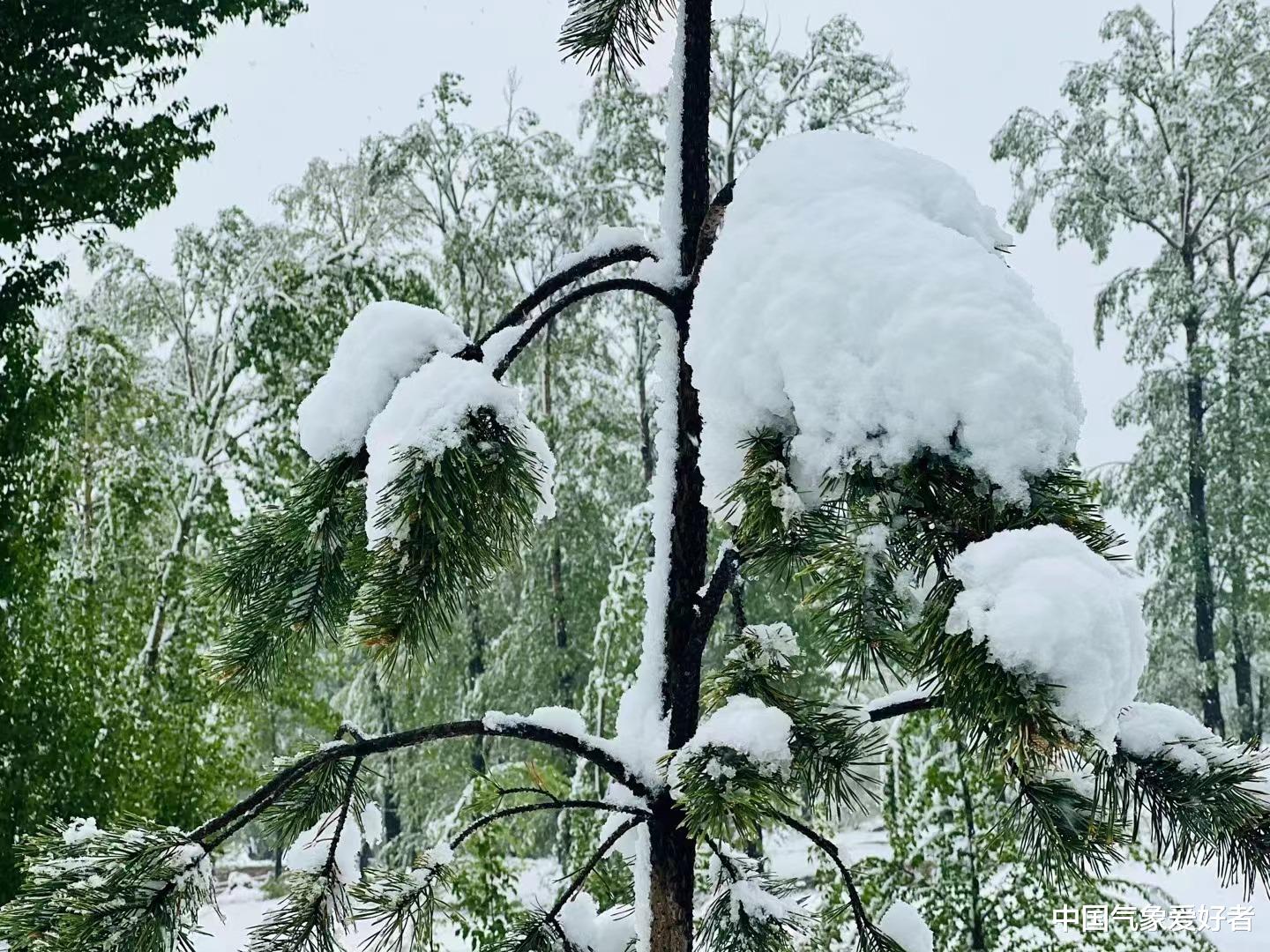 北方极端天气预警，多地面临暴雪挑战