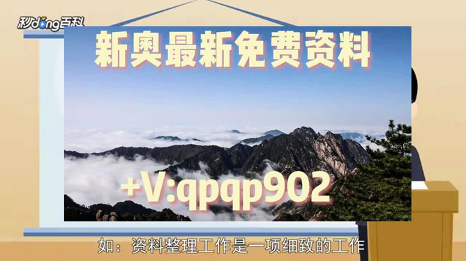 2024年新奥正版资料免费大全,权威解答解释定义_LE版66.268