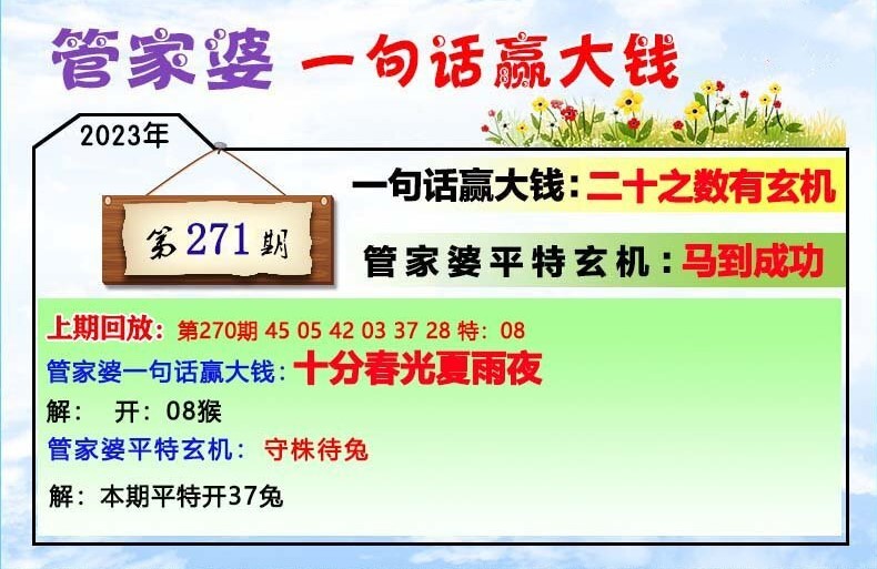 2024年11月28日 第41页