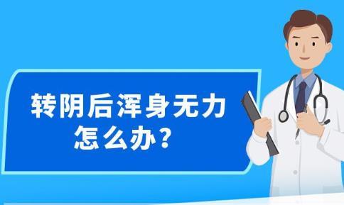 新澳精准资料免费大全,灵活性计划实施_进阶版27.35