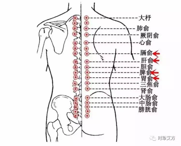 中医艾灸缓解背部疼痛的原理及实施方法