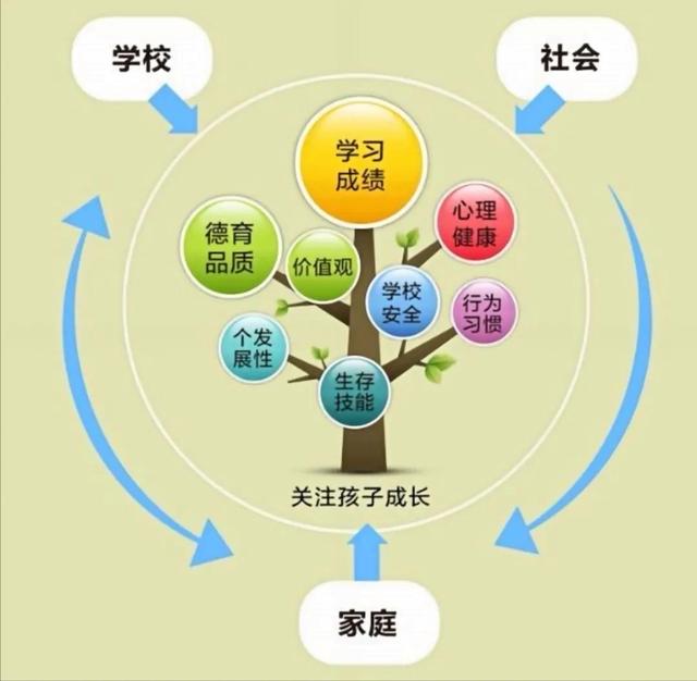 家庭教育对孩子社会适应能力的深远影响