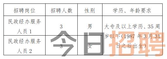 焦作市劳动和社会保障局最新招聘信息全面解析