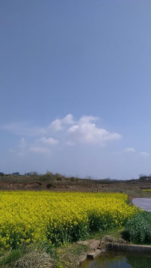 西埠镇天气预报更新通知