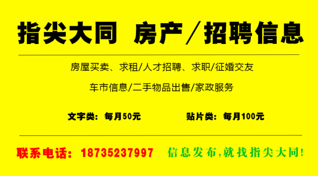 王人镇最新招聘信息全面解析