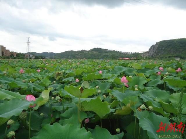 新邵县公路运输管理事业单位发展规划展望