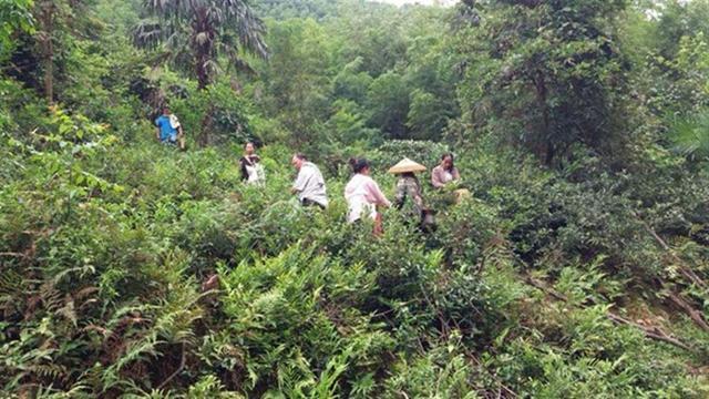 银山村繁荣和谐蓝图，最新发展规划揭秘