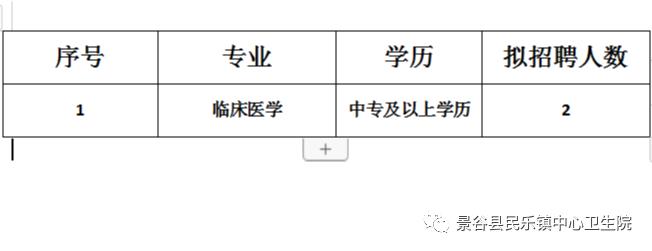 景谷傣族彝族自治县医疗保障局招聘公告解析