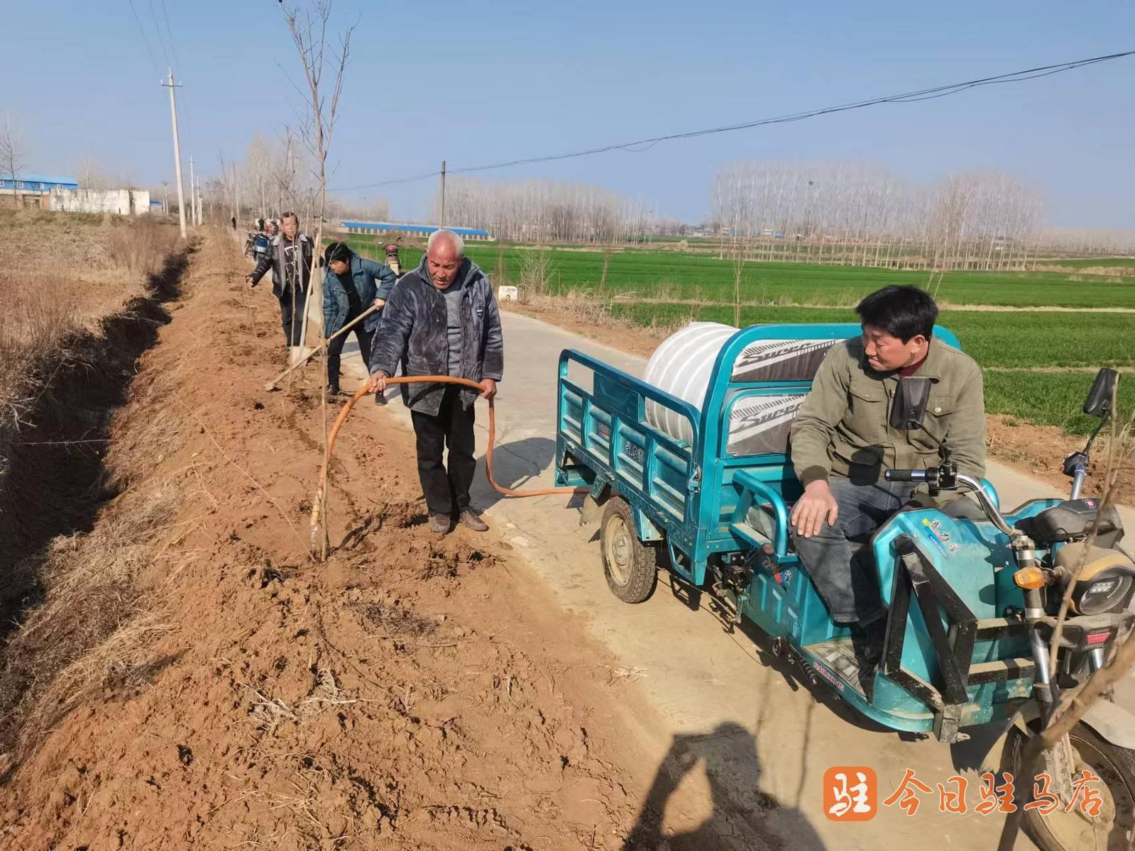 泌阳县公路运输管理事业单位最新项目概览，事业单位最新动态与项目进展