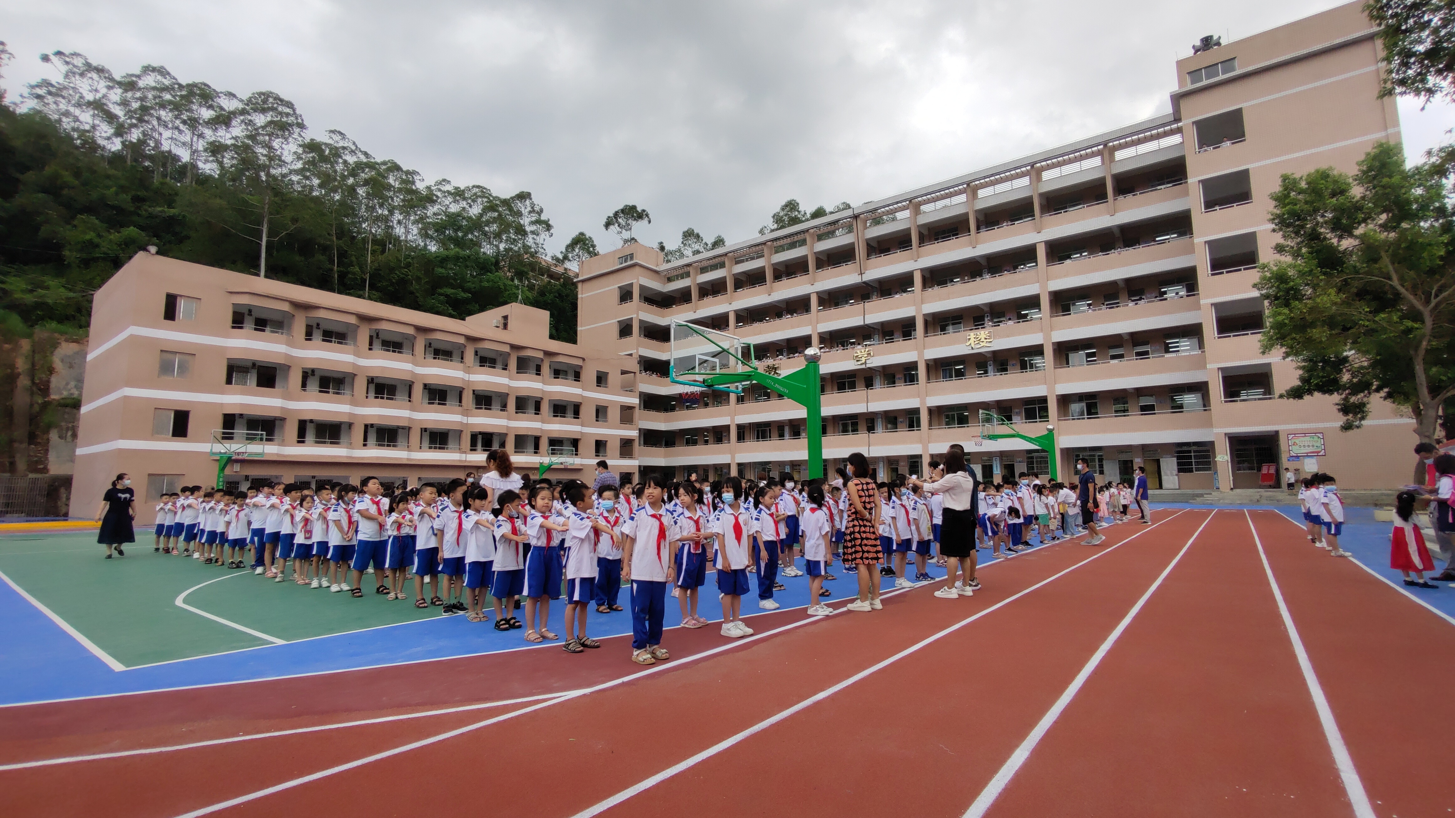 封开县小学最新项目，开启现代教育新篇章的探索之旅