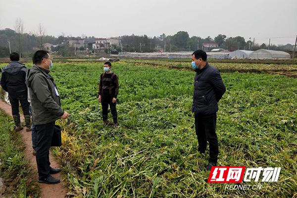 龙头铺镇未来繁荣新蓝图，发展规划揭秘