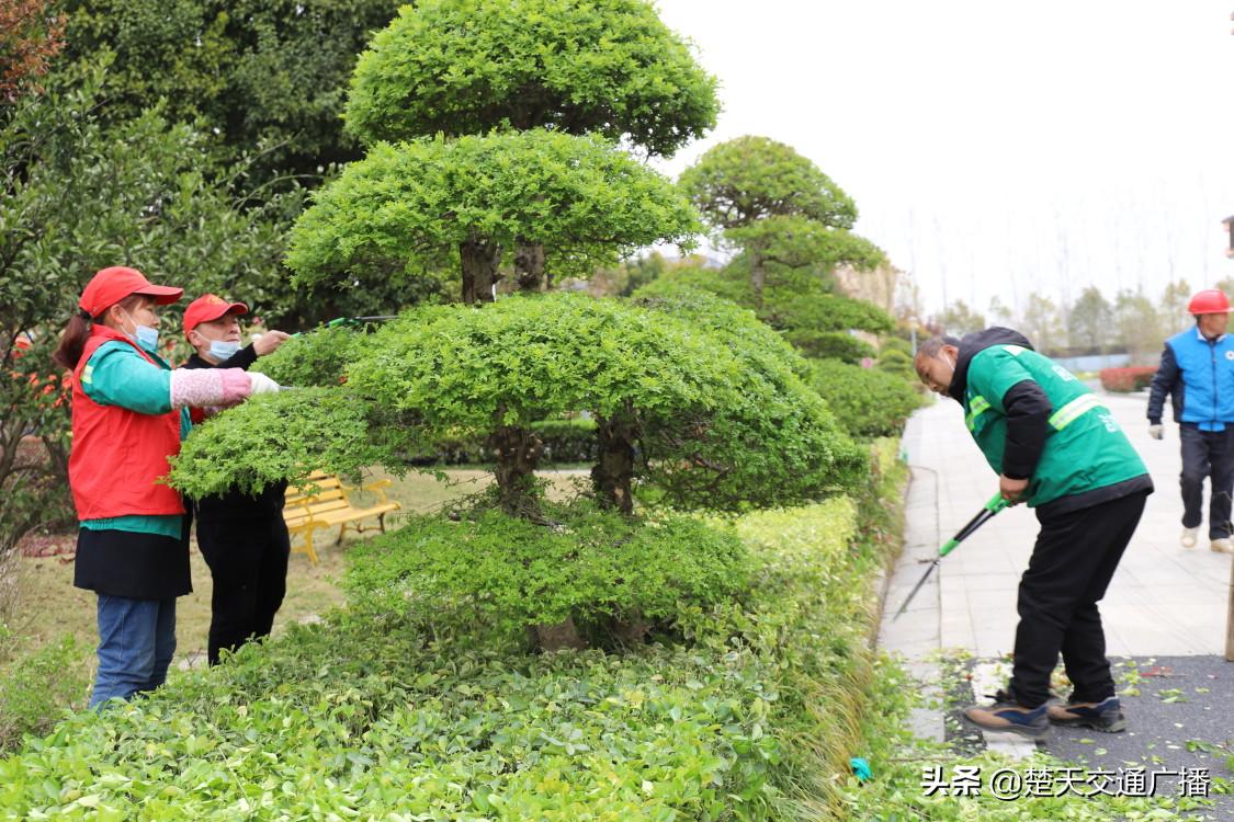 应城市卫生健康局新项目，开启健康城市建设新篇章