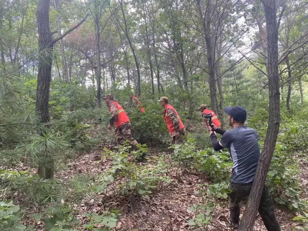 守虎山林场绿色发展新项目的探索与实践