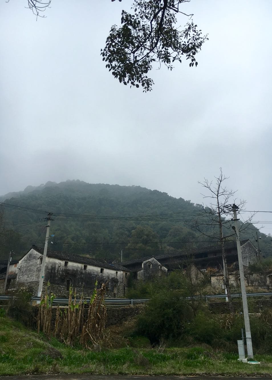 丰家铺乡天气预报更新通知