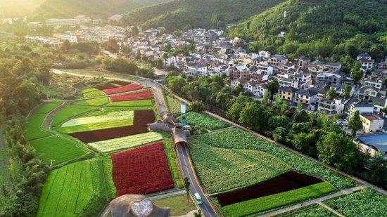 寨子山村民委员会新项目，乡村振兴的辉煌篇章