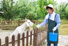 石道乡天气预报更新通知