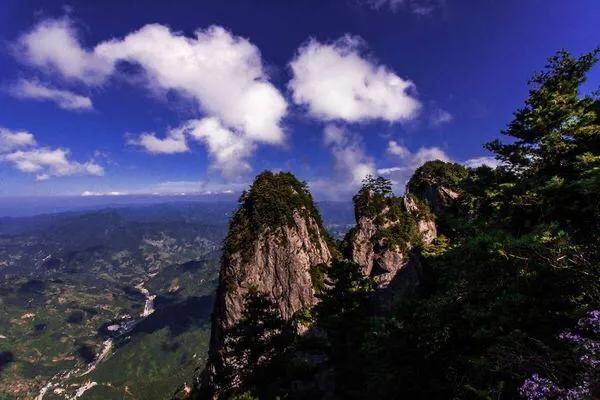 天竺山林场发展规划概览，未来蓝图揭秘