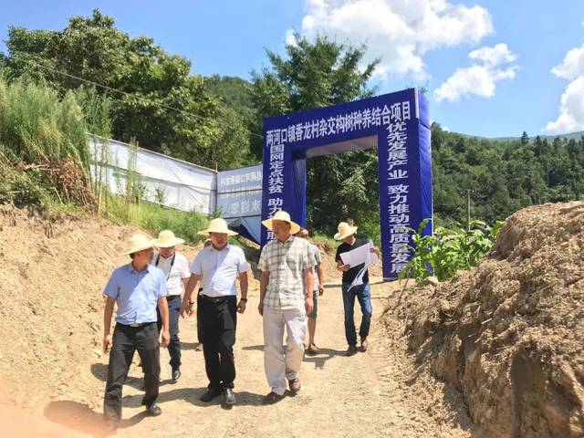 河口瑶族自治县水利局新项目，推动地方水资源可持续利用的关键行动