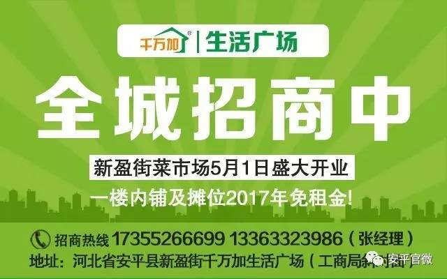 富阳市人社局最新招聘信息概览