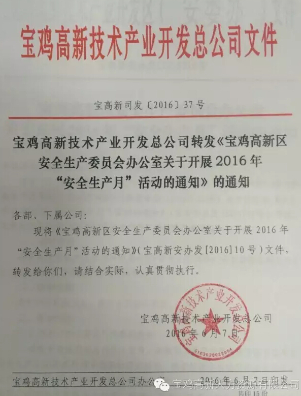 陈仓区人力资源和社会保障局最新招聘全面解析