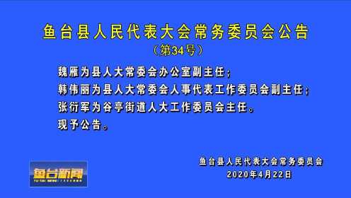 台前县医疗保障局人事任命动态深度解析