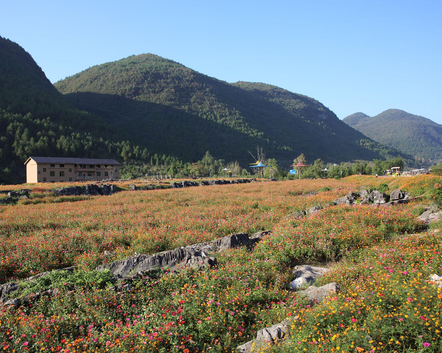 酉阳桃花源景区天气预告与旅游指南