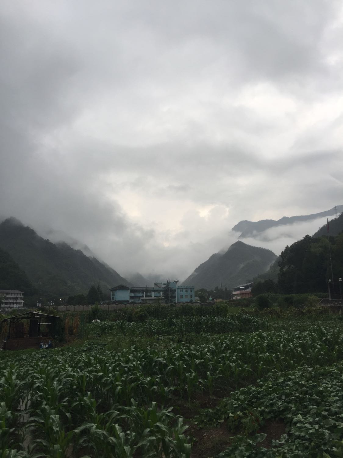 壁山村天气预报更新通知