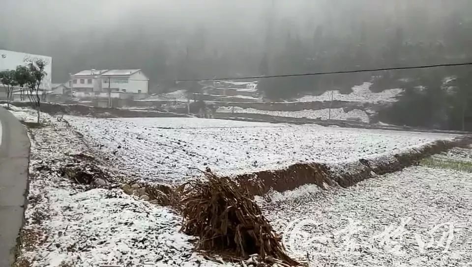 柳乡最新天气预报通知