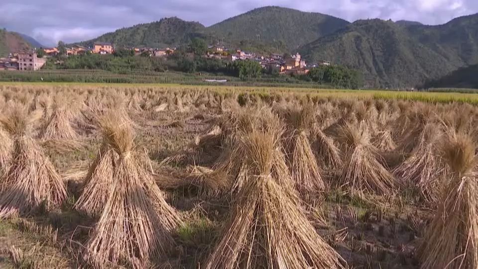 麻家沟村民委员会天气预报更新通知